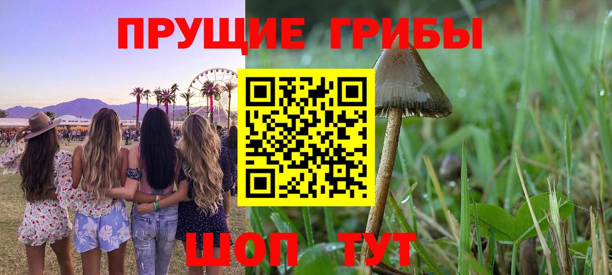 Псилоцибиновые грибы прущие грибы Лянтор